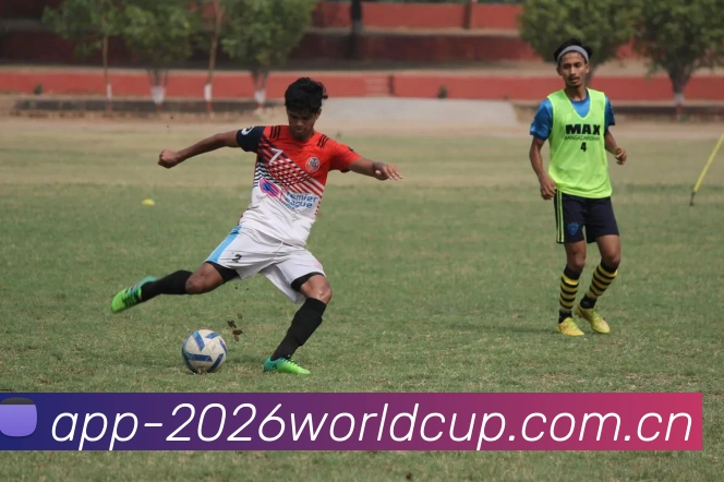 世界杯竞彩平台生态图